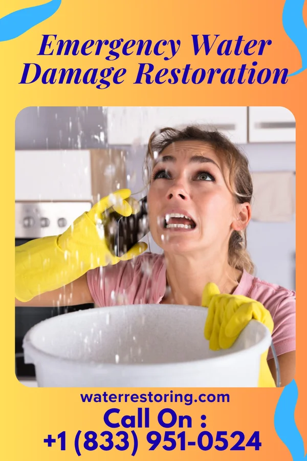 Emergency Water Damage Restoration in Blue Springs, MS